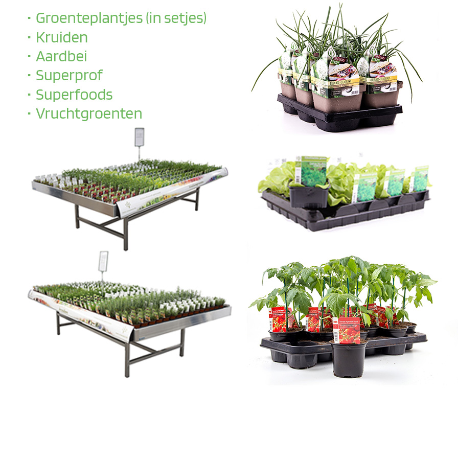 Picture for category Groenten & Kruiden